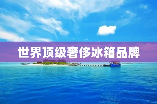 世界顶级奢侈冰箱品牌：品味与精致的完美结合