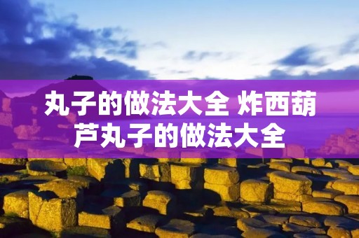 丸子的做法大全 炸西葫芦丸子的做法大全
