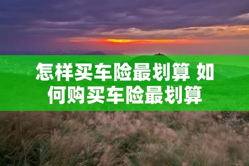 怎样买车险最划算 如何购买车险最划算