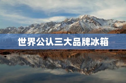 世界公认三大品牌冰箱:品质与创新的典范 世界公认三大品牌冰箱:品质与创新的典范