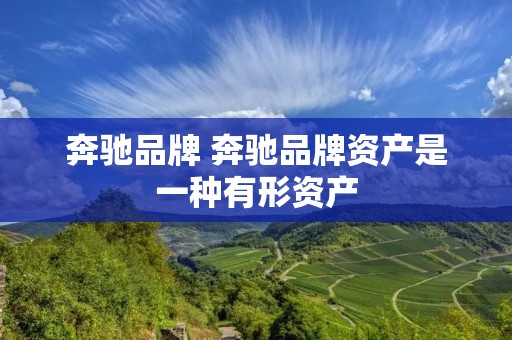奔驰品牌 奔驰品牌资产是一种有形资产