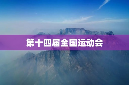 第十四届全国运动会：荣耀与**