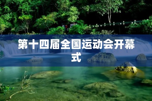 第十四届全国运动会开幕式：**燃烧的盛会