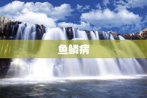 鱼鳞病:病因、症状、诊断与治疗