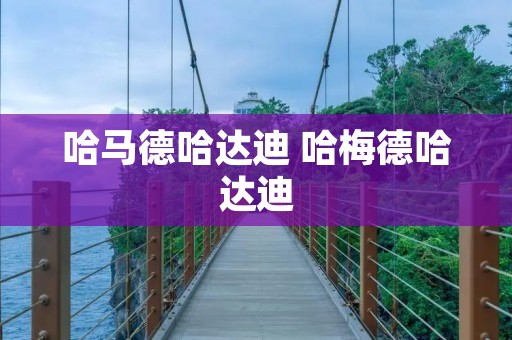 哈马德哈达迪 哈梅德哈达迪 哈马德哈达迪 哈梅德哈达迪
