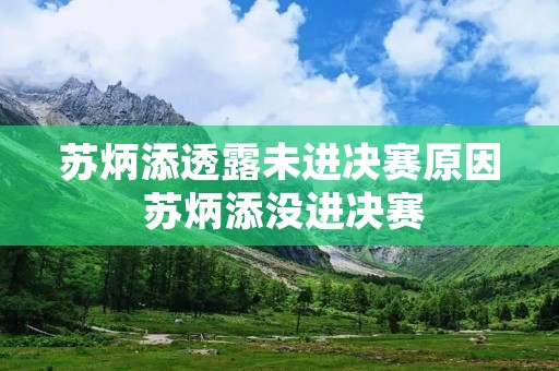 苏炳添透露未进决赛原因 苏炳添没进决赛