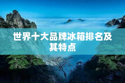 世界十大品牌冰箱排名及其特点 世界十大品牌冰箱排名及其特点