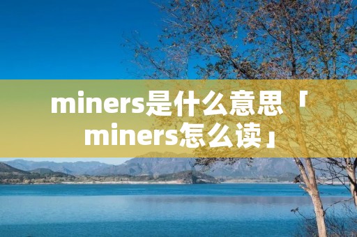 miners是什么意思「miners怎么读」
