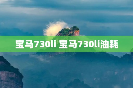 宝马730li 宝马730li油耗