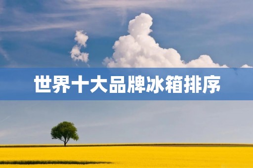 世界十大品牌冰箱排序：品质与创新引领行业发展
