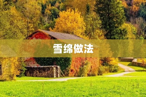 雪绵做法：轻盈细腻的冰爽口感