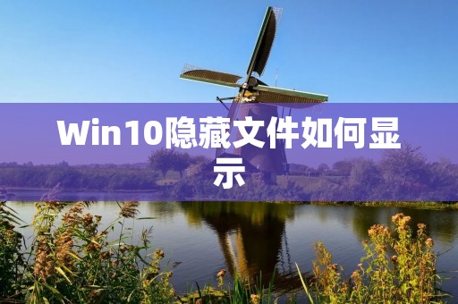 Win10隐藏文件如何显示