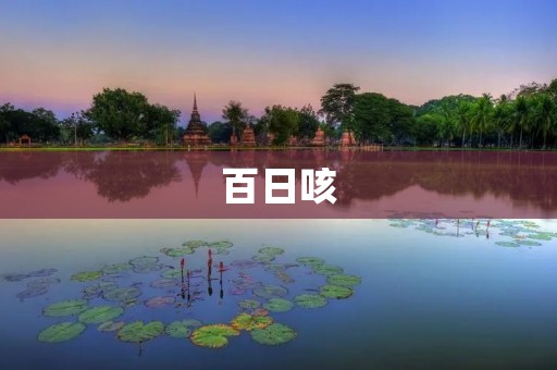 百日咳:一种长期持续性咳嗽的传染病