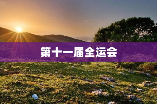 第十一届全运会：展现中国体育风采的盛会