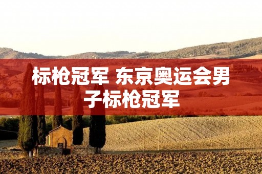 标枪冠军 东京奥运会男子标枪冠军 标枪冠军 东京奥运会男子标枪冠军