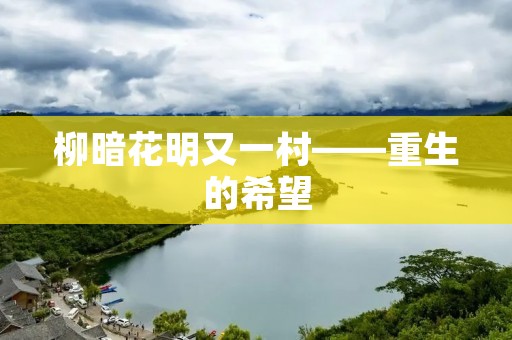 柳暗花明又一村——重生的希望