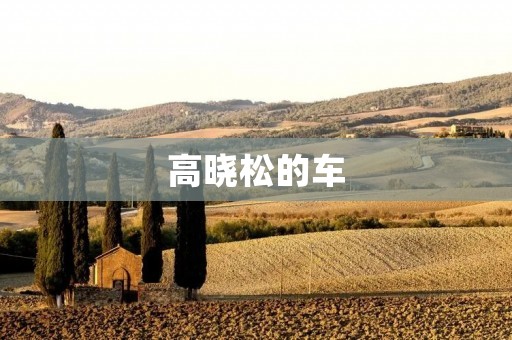 高晓松的车:一个富有个性与品味的座驾 高晓松的车:一个富有个性与品味的座驾