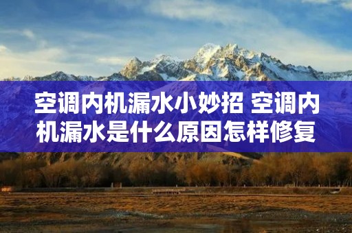 空调内机漏水小妙招 空调内机漏水是什么原因怎样修复