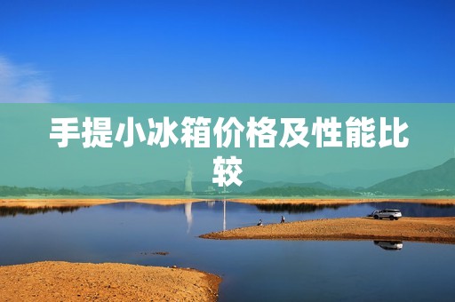 手提小冰箱价格及性能比较