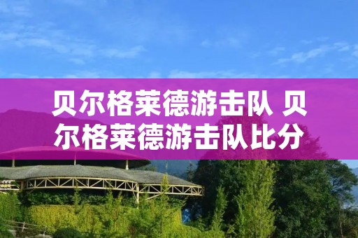 贝尔格莱德游击队 贝尔格莱德游击队比分