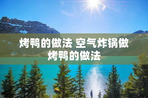 烤鸭的做法 空气炸锅做烤鸭的做法