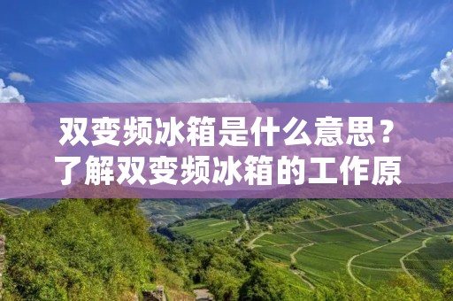 双变频冰箱是什么意思？了解双变频冰箱的工作原理、特点和优势是非常重要的。双变频冰箱是一种采用变频技术的家用电器，通过调整压缩机的转速来控制制冷效果，从而实现节能和降低噪音的目的。