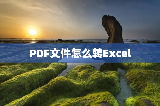 PDF文件怎么转Excel