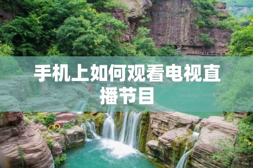 手机上如何观看电视直播节目