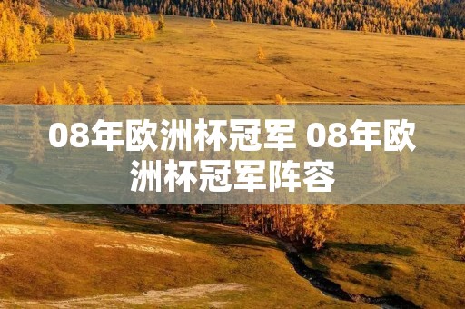 08年欧洲杯冠军 08年欧洲杯冠军阵容