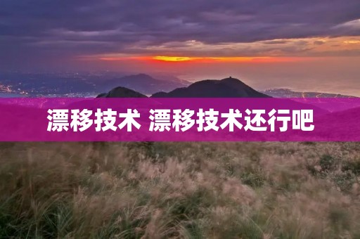 漂移技术 漂移技术还行吧