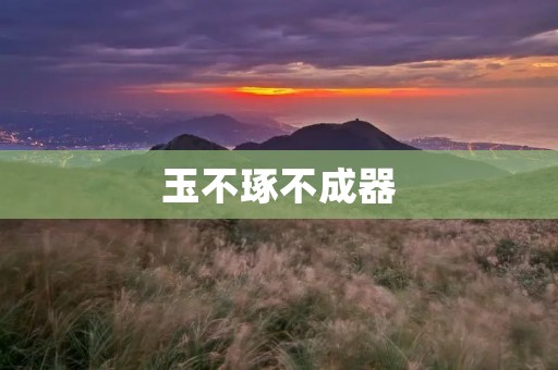 玉不琢不成器:探索成长之路