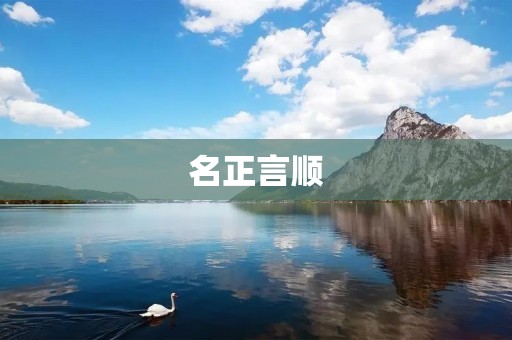 名正言顺:秉持正义与公正的标杆