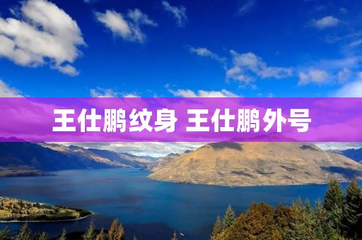 王仕鹏纹身 王仕鹏外号
