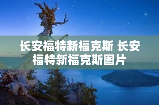 长安福特新福克斯 长安福特新福克斯图片