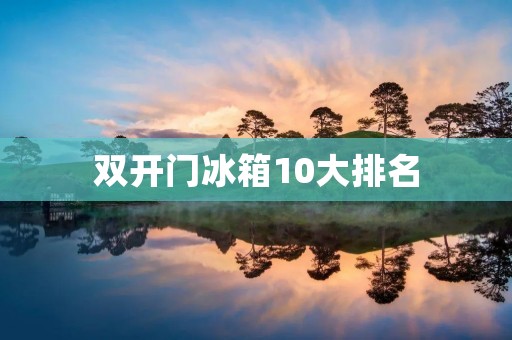 **门冰箱10大排名：让您的食材储存更方便
