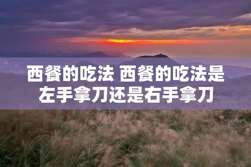 西餐的吃法 西餐的吃法是左手拿刀还是右手拿刀