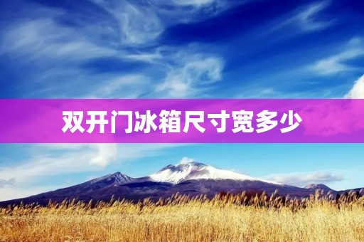 **门冰箱尺寸宽多少 **门冰箱尺寸宽多少