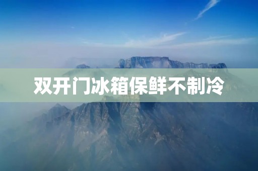 **门冰箱保鲜不制冷：问题探究及解决方法