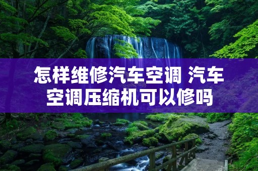 怎样维修汽车空调 汽车空调压缩机可以修吗 怎样维修汽车空调 汽车空调压缩机可以修吗