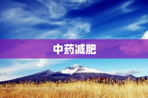 中药减肥：探索传统中医疗法的奥秘