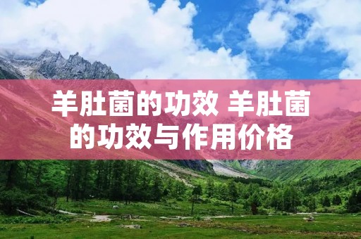 羊肚菌的功效 羊肚菌的功效与作用价格 羊肚菌的功效 羊肚菌的功效与作用价格