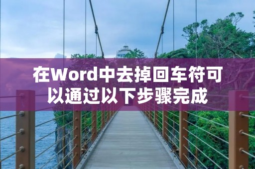 在Word中去掉回车符可以通过以下步骤完成：