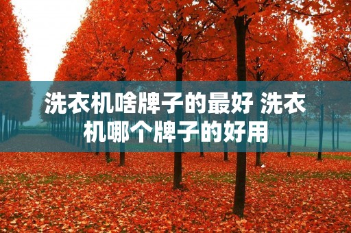 洗衣机啥牌子的最好 洗衣机哪个牌子的好用 洗衣机啥牌子的最好 洗衣机哪个牌子的好用