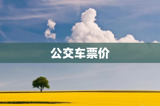 公交车票价:城市交通的经济支柱 公交车票价:城市交通的经济支柱