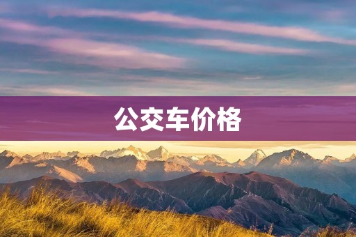 公交车价格:价格因素与市场趋势 公交车价格:价格因素与市场趋势