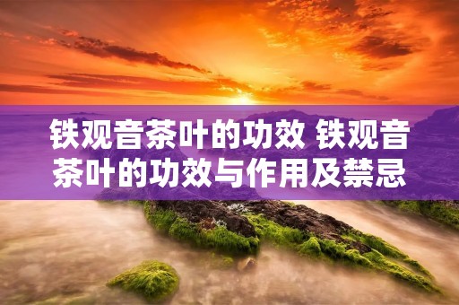 铁观音茶叶的功效 铁观音茶叶的功效与作用及禁忌 铁观音茶叶的功效 铁观音茶叶的功效与作用及禁忌