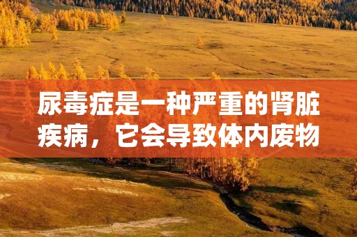 尿毒症是一种严重的肾脏疾病，它会导致体内废物和毒素无法正常排泄，从而引发一系列严重的健康问题。本文将对尿毒症进行详细描述，包括其定义、病因、症状、诊断和治疗等方面内容。