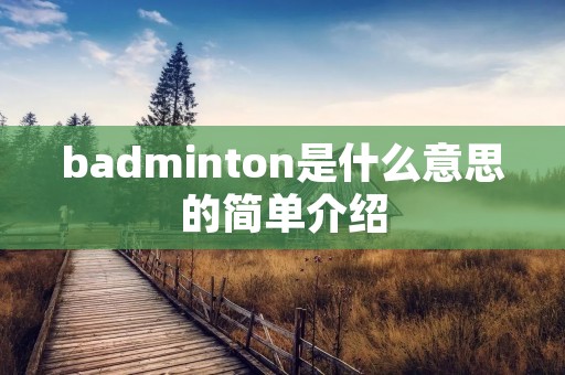 badminton是什么意思的简单介绍