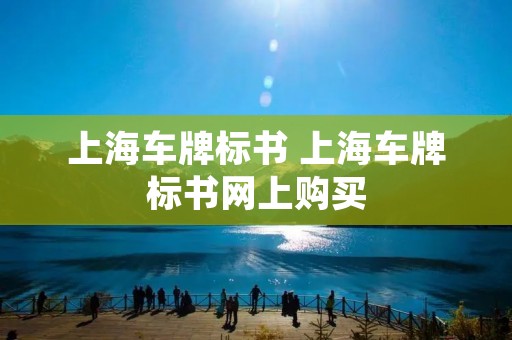 上海车牌标书 上海车牌标书网上购买