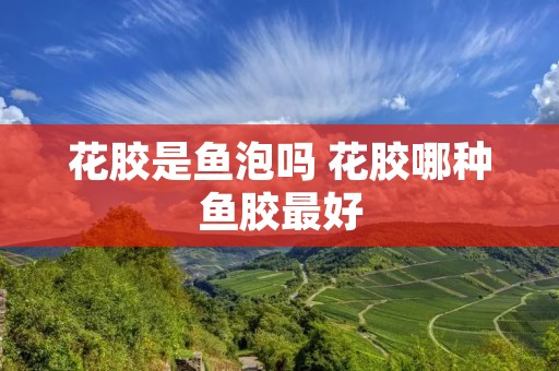 花胶是鱼泡吗 花胶哪种鱼胶最好